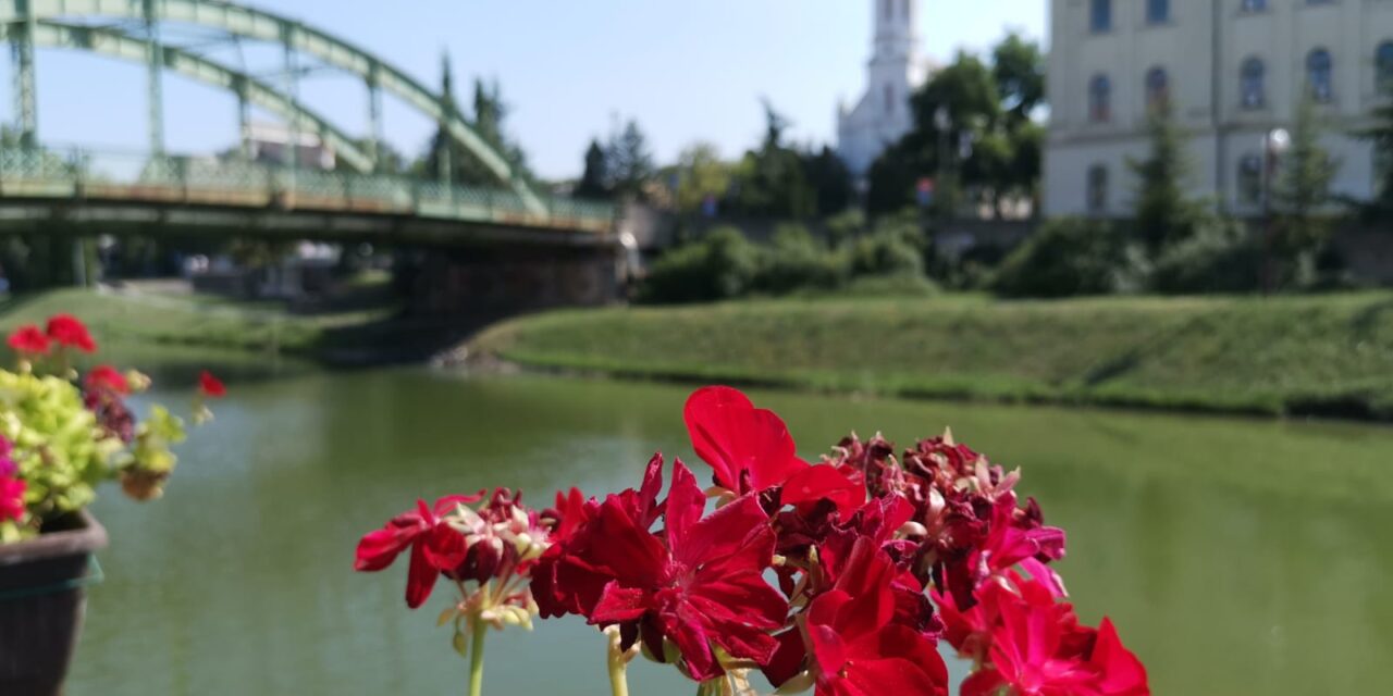 Pogledajte vremensku prognozu za narednih 7 dana za Zrenjanin