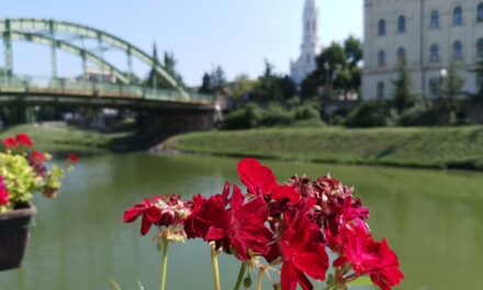 Pogledajte vremensku prognozu za narednih 7 dana za Zrenjanin