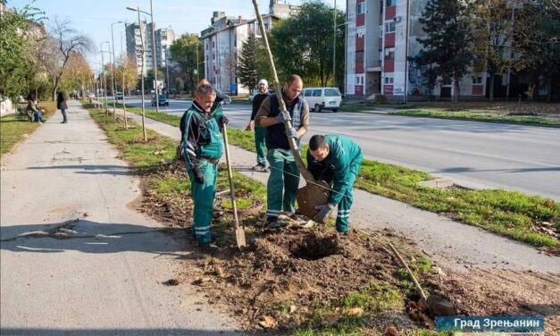 NOVE SADNICE NA BULEVARU VELJKA VLAHOVIĆA