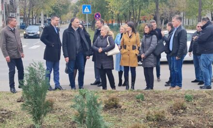 Završeni radovi na ozelenjavanju ulice Bulevar Veljka Vlahovića i kod BIG centra