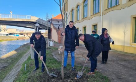 ZAVRŠENO OZELENJAVANJE LEVE I DESNE STRANE BEGEJA KOD NEKADAŠNJE PIVARE