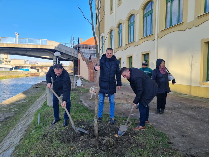 ZAVRŠENO OZELENJAVANJE LEVE I DESNE STRANE BEGEJA KOD NEKADAŠNJE PIVARE