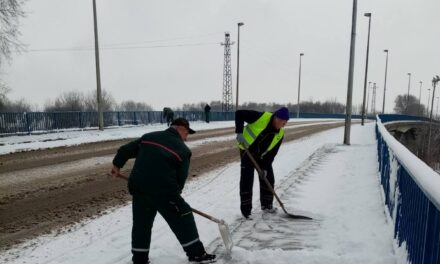 Ekipe Zimske službe JKP „Čistoća i zelenilo“ od prepodnevnih sati na terenu