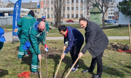 KOMPANIJA LINGLONG DONIRALA 70 SADNICA (FOTO)