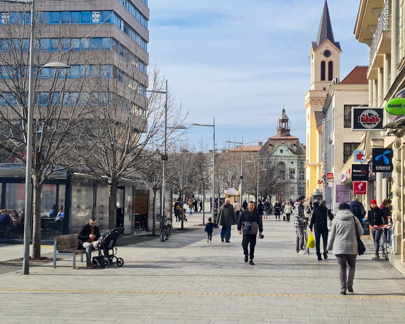 Zrenjaninskim poslodavcima potrebni kuvari, pomoćni radnici, spremačice…