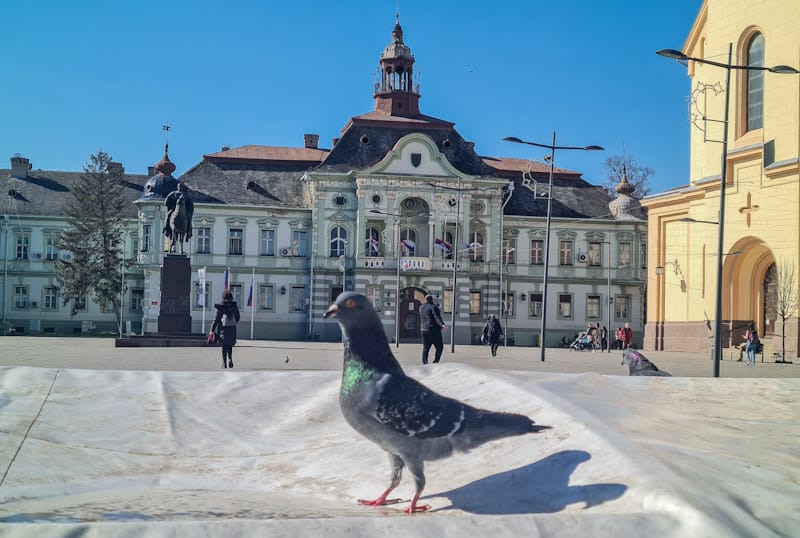 STIŽU NAM TOPLIJI DANI