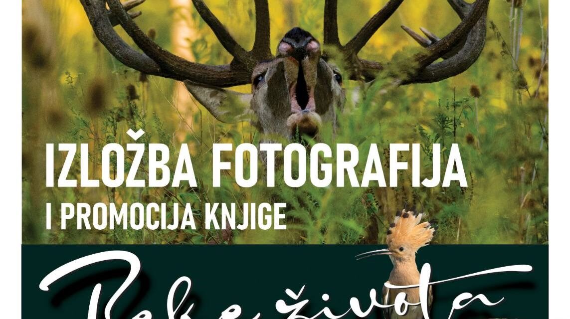 Svečano otvaranje izložbe fotografija Predraga Kostina pod nazivom „Reke života” u muzeju