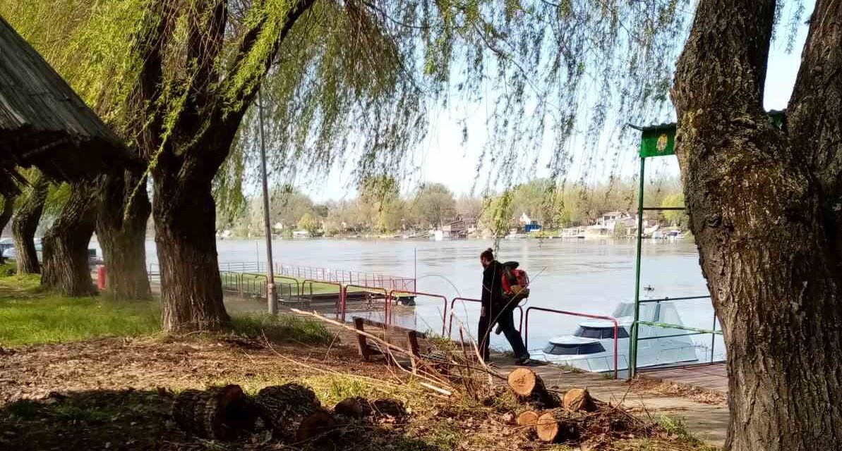 Radnici JKP „Čistoća i zelenilo“ intenzivno rade na detaljnom uređenju izletista Tisa (FOTO)