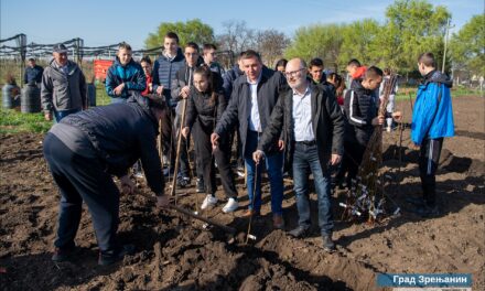 Uz podršku Novaka Đokovića Zrenjaninu donirano 3.500 sadnica platana