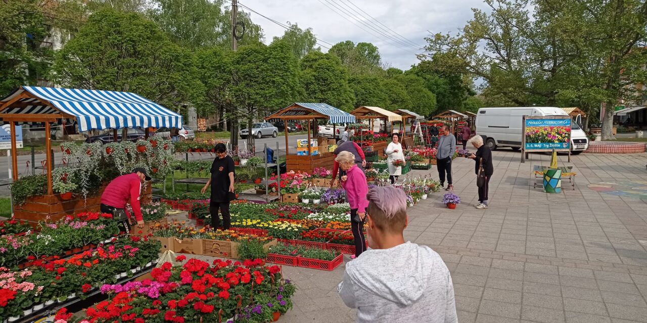 Počeo treći prolećni Festival cveća u Žitištu (FOTO)