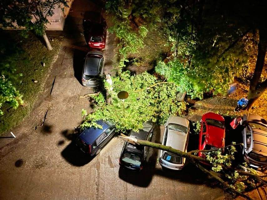 Pala stabla – oštećeni automobili u nevremenu (FOTO)