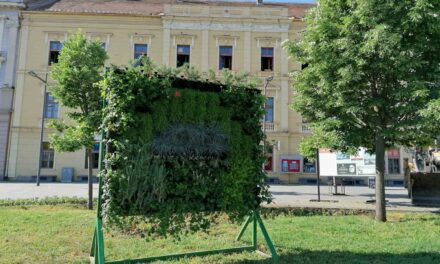 Novi cvetni aranžmani u centru Zrenjanina (FOTO)