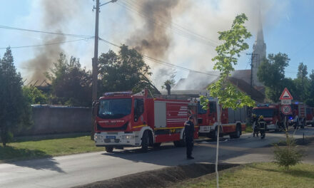 POŽAR U MUŽLJI: 5 vatrogasnih vozila na terenu