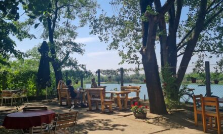 Uživajte u prijatanom ambijentu i odličnoj hrani restorana „Malo jezero“