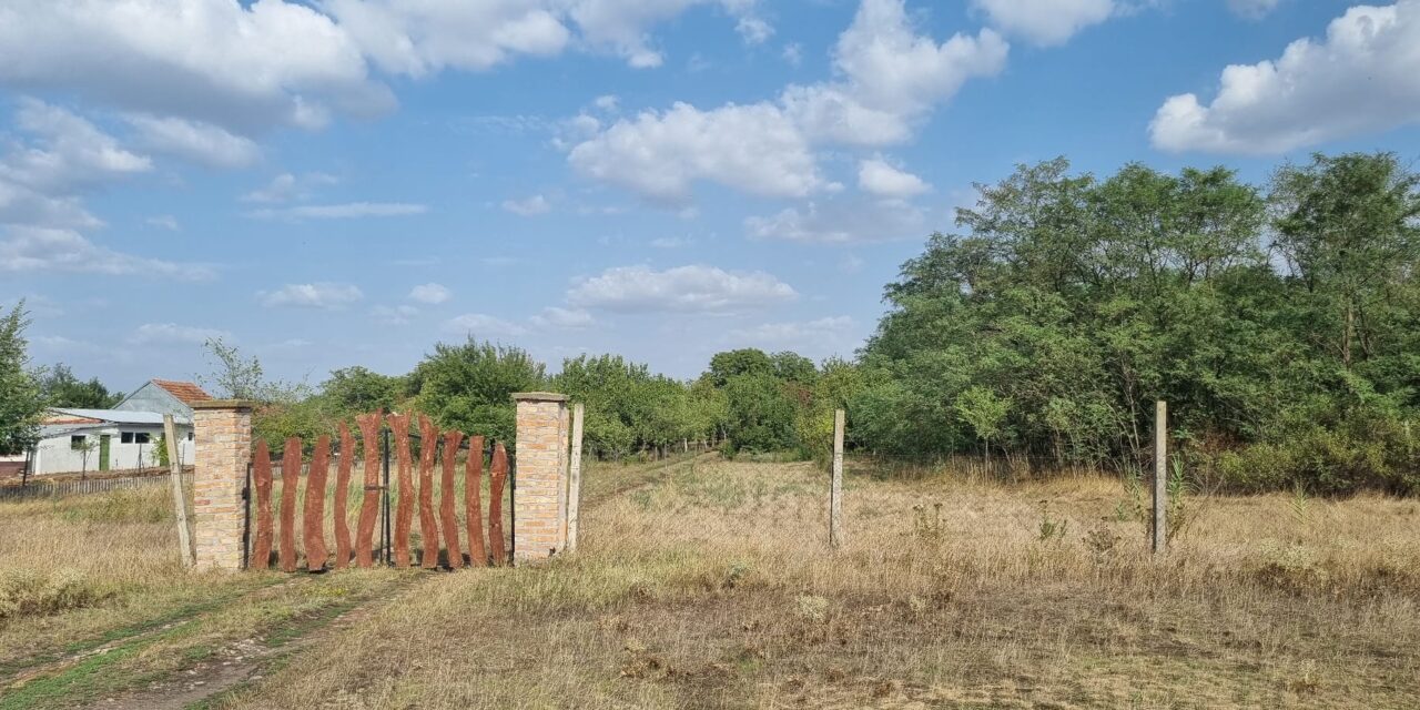 PRONAĐENO OBEZGLAVLJENO TELO NADOMAK ZRENJANINA (FOTO)