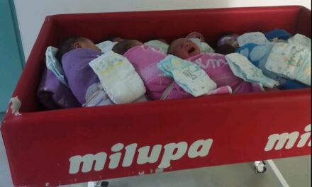 LEPE VESTI: U zrenjaninskoj bolnici rođeno 28 beba