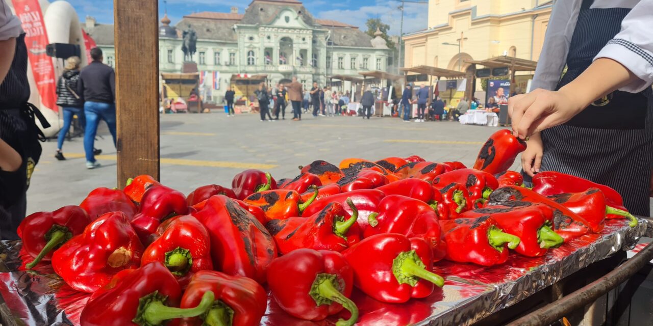 ZRENJANIN JE DANAS BIO DOMAĆIN TAKMIČENJU U KUVANJU NAJBOLJEG AJVARA- Izađi mi na teglu