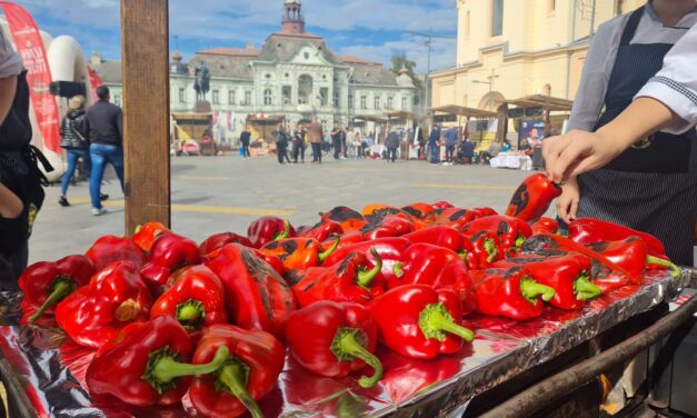 ZRENJANIN JE DANAS BIO DOMAĆIN TAKMIČENJU U KUVANJU NAJBOLJEG AJVARA- Izađi mi na teglu