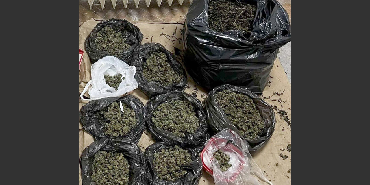 Pretresom stana pronađena veća količina marihuane
