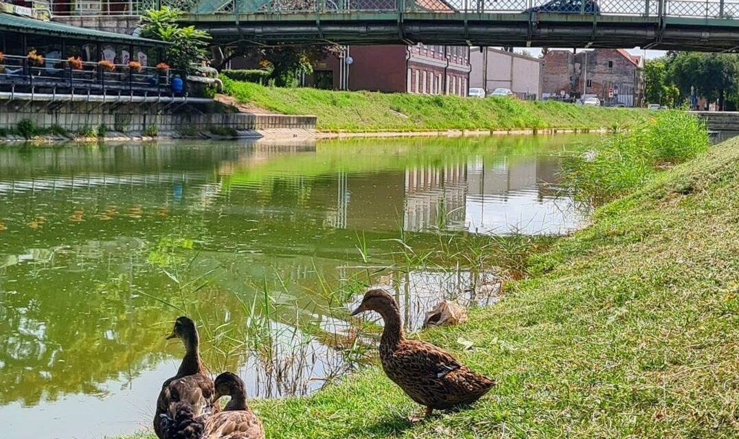 Pogledajte kakvo nas vreme očekuje narednih dana u Zrenjaninu