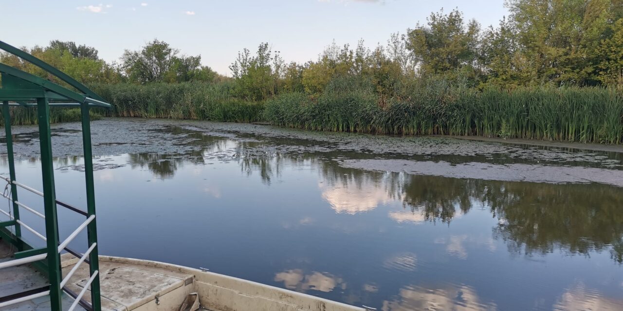 Pet miliona dinara za Specijalni rezervat prirode „Carska bara“