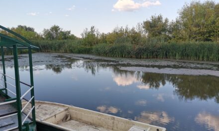 Pet miliona dinara za Specijalni rezervat prirode „Carska bara“