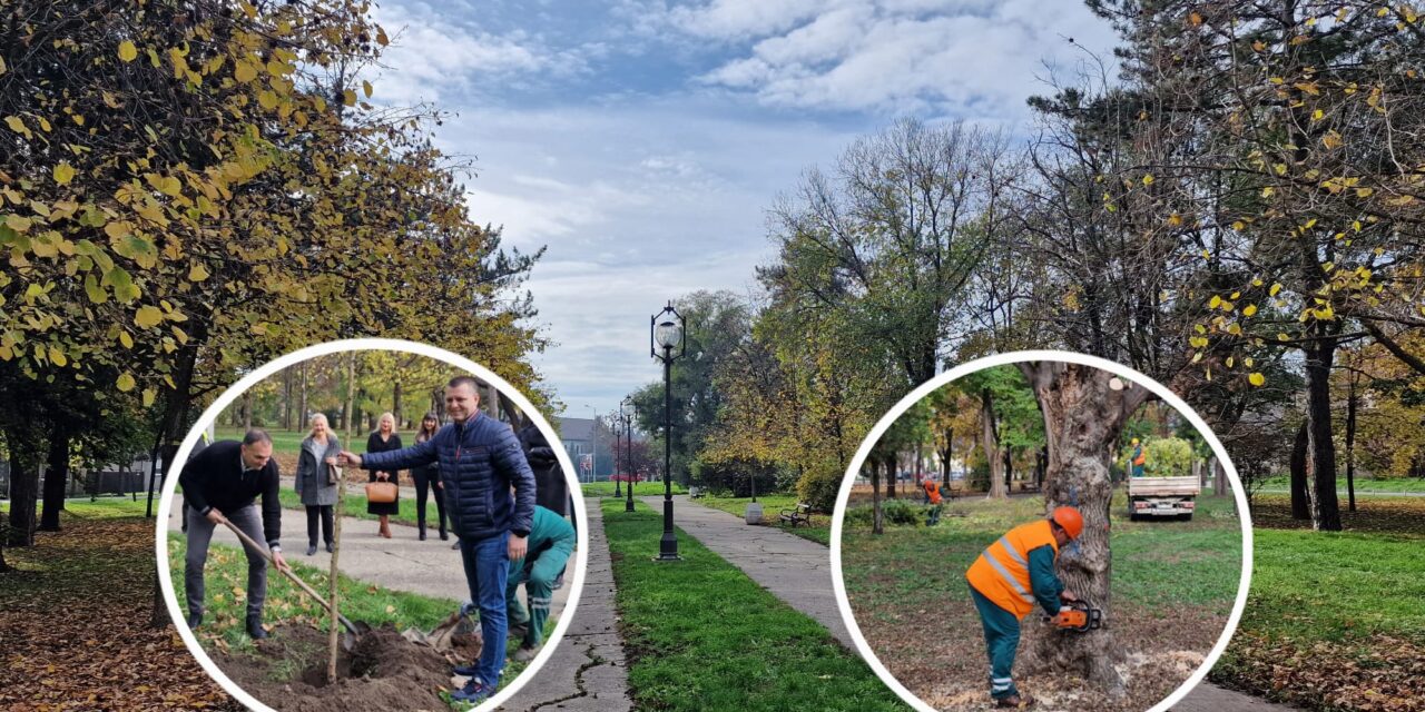 Počela prva faza rekonstrukcije zelenila u Karađorđevom parku