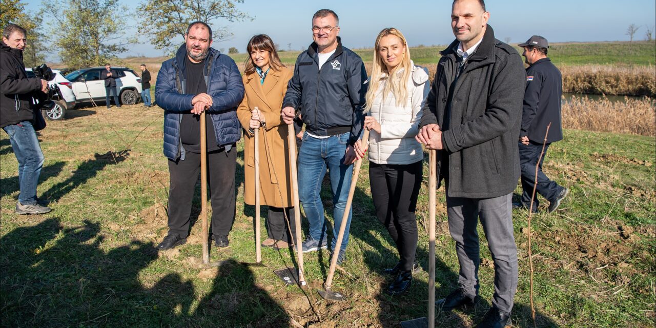 Posađeno 26.000 sadnica bagrema na kanalu Hidrosistema DTD u Melencima