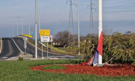 LSV: Zaprljan i zgužvan patriotizam