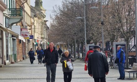 Zrenjaninskim poslodavcima potrebni vozači, kuvari, radnici u perionici…