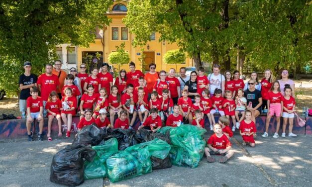 Sovice mudrice u nedelju organizuju čišćenje igrališta i sadnju drveća