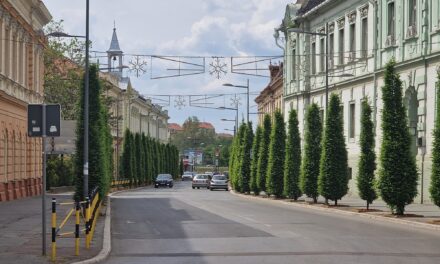 Zbog hemijskog tretiranja drvoreda u centru mole se vozači da ne parkiraju svoje automobile