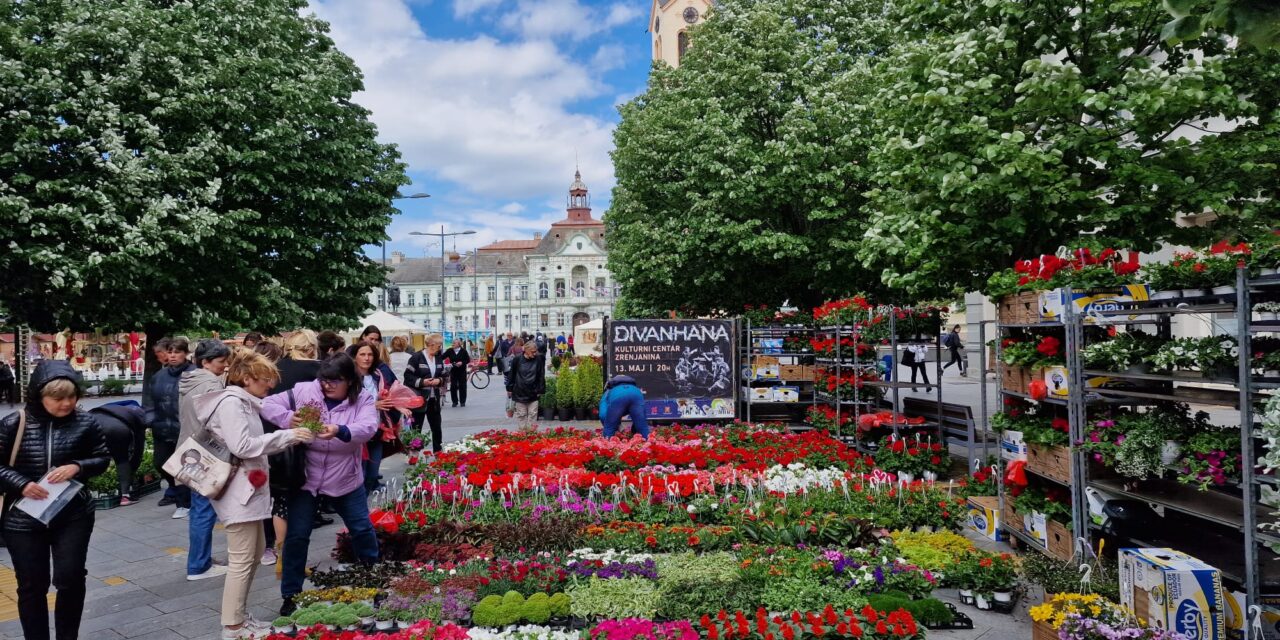 POČELA CVETNA PIJACA U CENTRU ZRENJANINA- Pogledajte ponudu