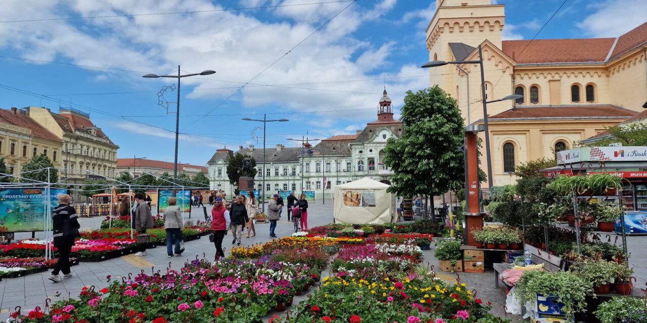 U četvrtak počinje „Cvetna pijaca“ u centru Zrenjanina