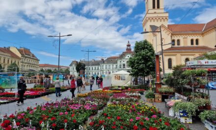 USKORO JESENJA CVETNA PIJACA U ZRENJANINU