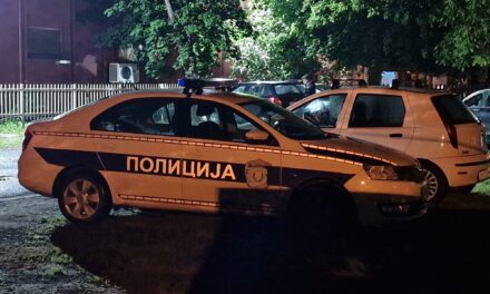 POTEGAO REVOLVER NA POLICAJCE