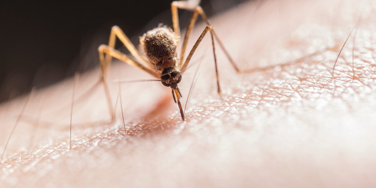 UPOZORENJE PČELARIMA – Tretmani protiv komaraca iz vazduha i sa zemlje