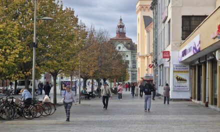 PREDLOŽITE POJEDINCA ILI KOLEKTIV ZA NAGRADU GRADA ZRENJANINA