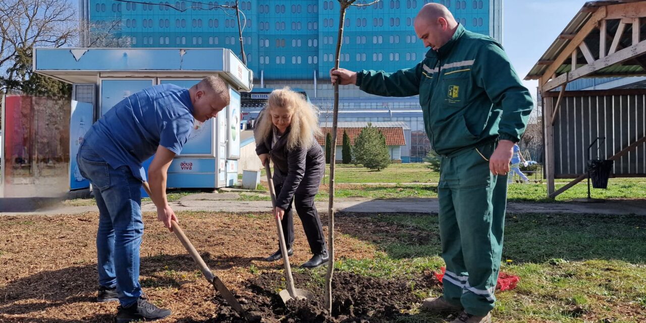 OBNOVLJEN PARK ZRENJANINSKE BOLNICE