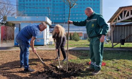 OBNOVLJEN PARK ZRENJANINSKE BOLNICE