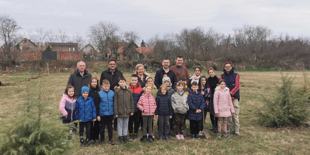 Rotary klub Zrenjanin u saradnji sa JKP „Čistoća i Zelenilo“ organizovao sadnju 25 sadnica