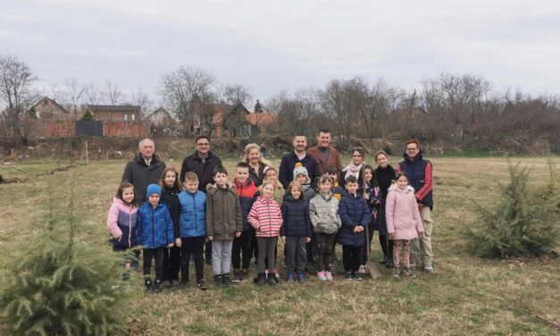 Rotary klub Zrenjanin u saradnji sa JKP „Čistoća i Zelenilo“ organizovao sadnju 25 sadnica