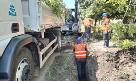 GAŠENJE STARE MREŽE U ŠUMICI I NA POTEZU KARAĐORĐEV TRG