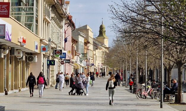 Zrenjaninskim poslodavcima potrebni vozači, kuvari, konobari…