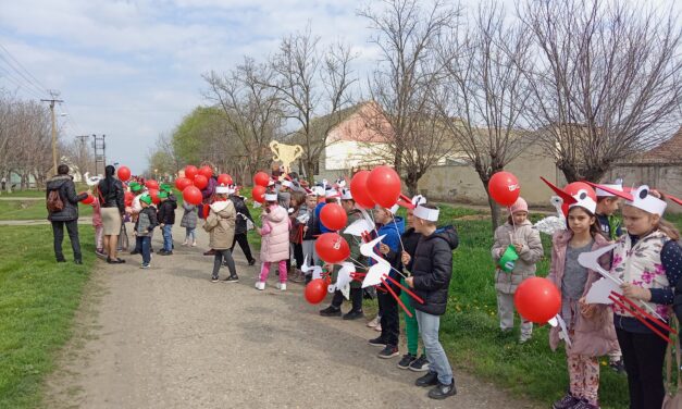 MEŠTANI TARAŠA ORGANIZOVALI DOČEK RODA (FOTO)