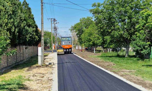 Asfaltirana Opovačka ulica na Zelenom polju- radovi i u MZ „Šumica“