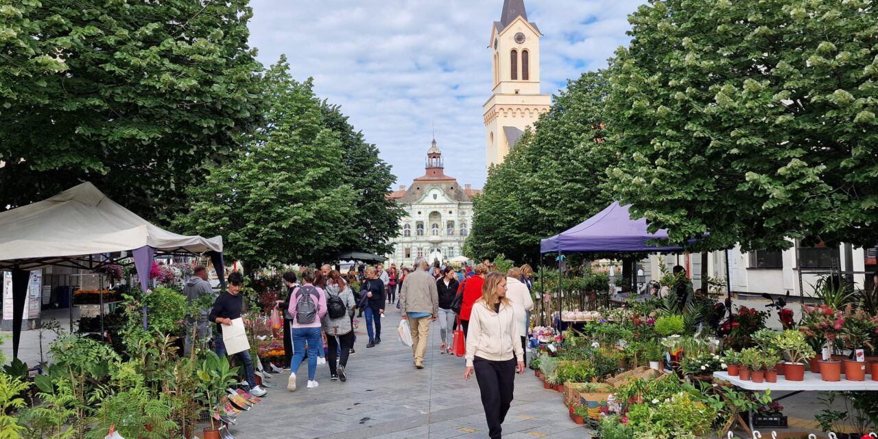 Uskoro jesenja „Cvetna pijaca“ u Zrenjaninu
