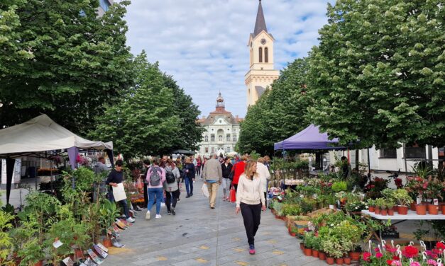Uskoro jesenja „Cvetna pijaca“ u Zrenjaninu