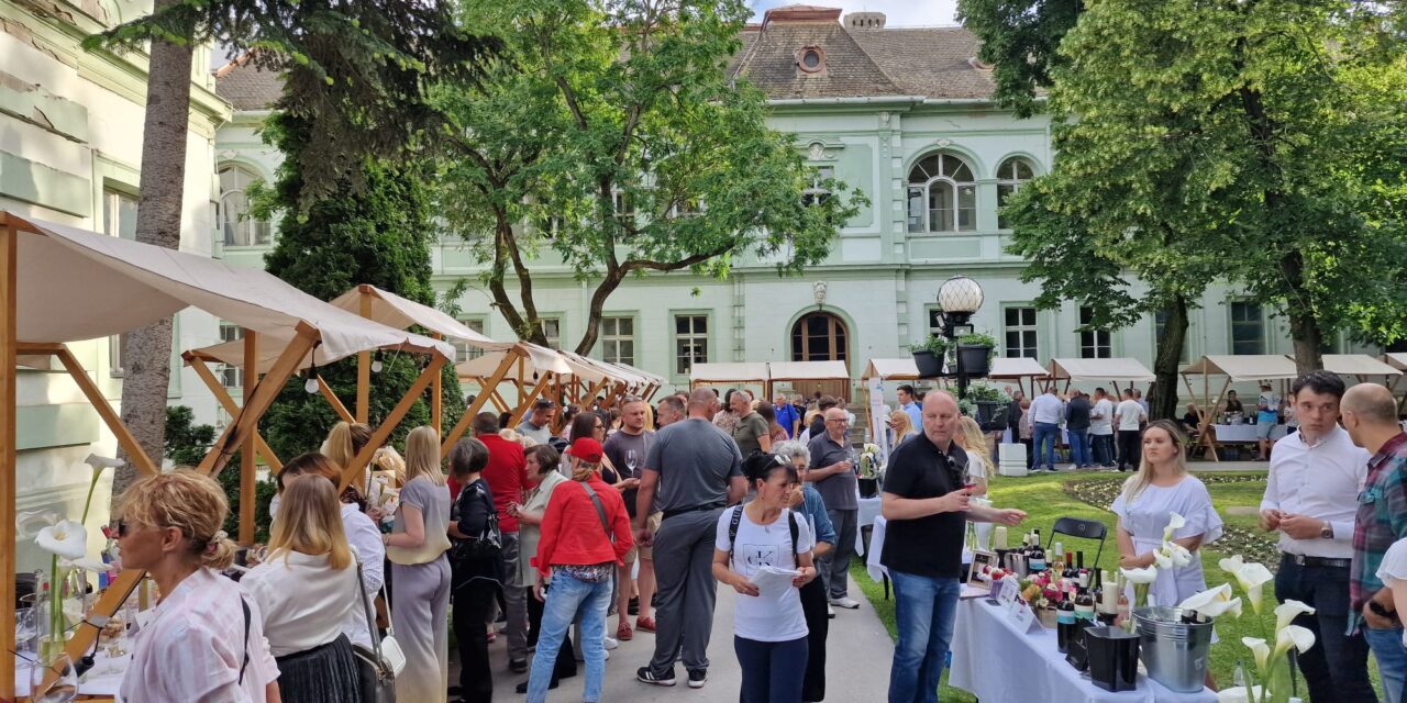 Zrenjanin spreman za šesti Banatski vinski festival – više od 50 prestižnih vinarija stiže u Gradsku baštu
