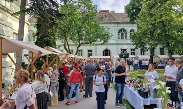 Zrenjanin spreman za šesti Banatski vinski festival – više od 50 prestižnih vinarija stiže u Gradsku baštu